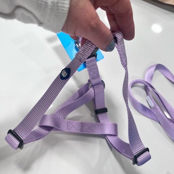 Dog Harness and Leash - Picture 2 of 3